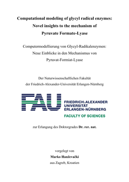 Computational Modeling of Glycyl Radical Enzymes: Novel Insights to the Mechanism of Pyruvate Formate-Lyase