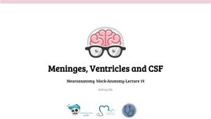 Meninges, Ventricles and CSF
