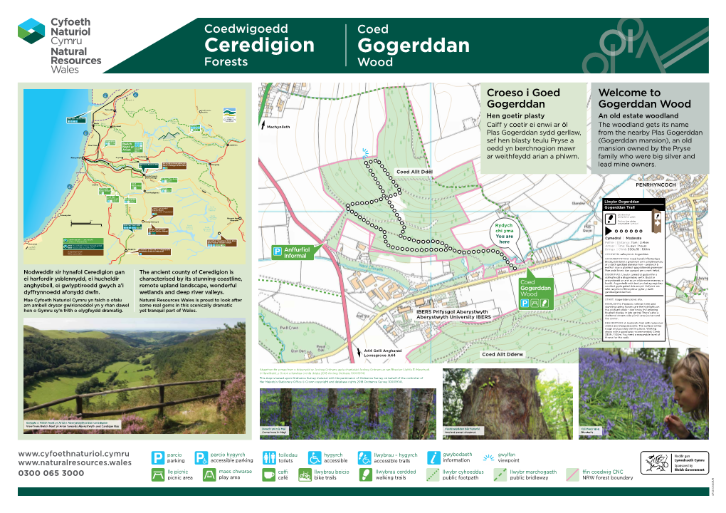 Ceredigion Gogerddan Forests Wood