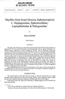 1.- Heptageniidae, Ephemerellidae, Leptophlebiidae & Palingeniidae