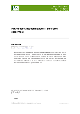 Particle Identification Devices at the Belle II Experiment