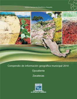 Compendio De Información Geográfica Municipal 2010