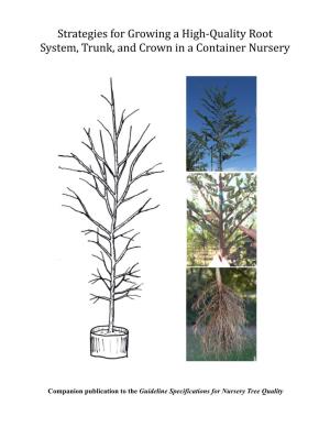 Strategies for Growing a High‐Quality Root System, Trunk, and Crown in a Container Nursery
