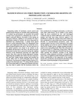 Maximum Single Leg Force Production: Cockroaches Righting on Photoelastic Gelatin