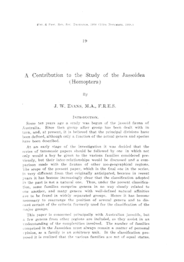 A Contribution to the Study of the J Assoidea ( Homoptera)