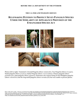 Rulemaking Petition to Protect Seven Pangolin Species Under the Similarity of Appearance Provision of the Endangered Species Act
