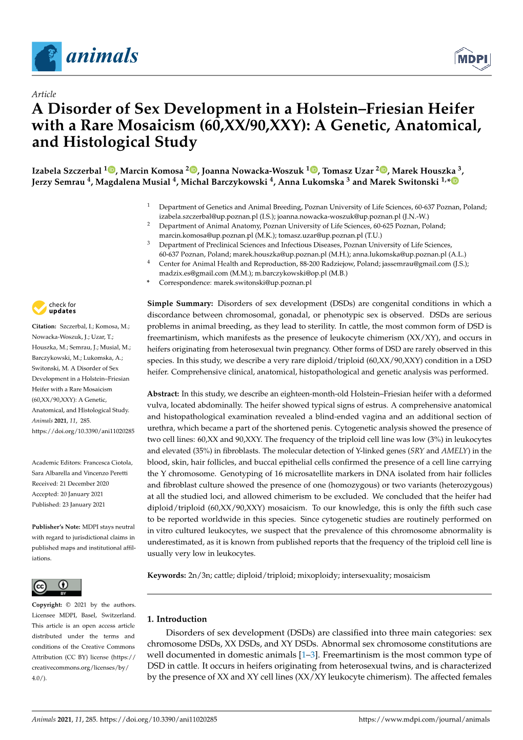 A Disorder of Sex Development in a Holstein–Friesian Heifer with a Rare Mosaicism (60,XX/90,XXY): a Genetic, Anatomical, and Histological Study