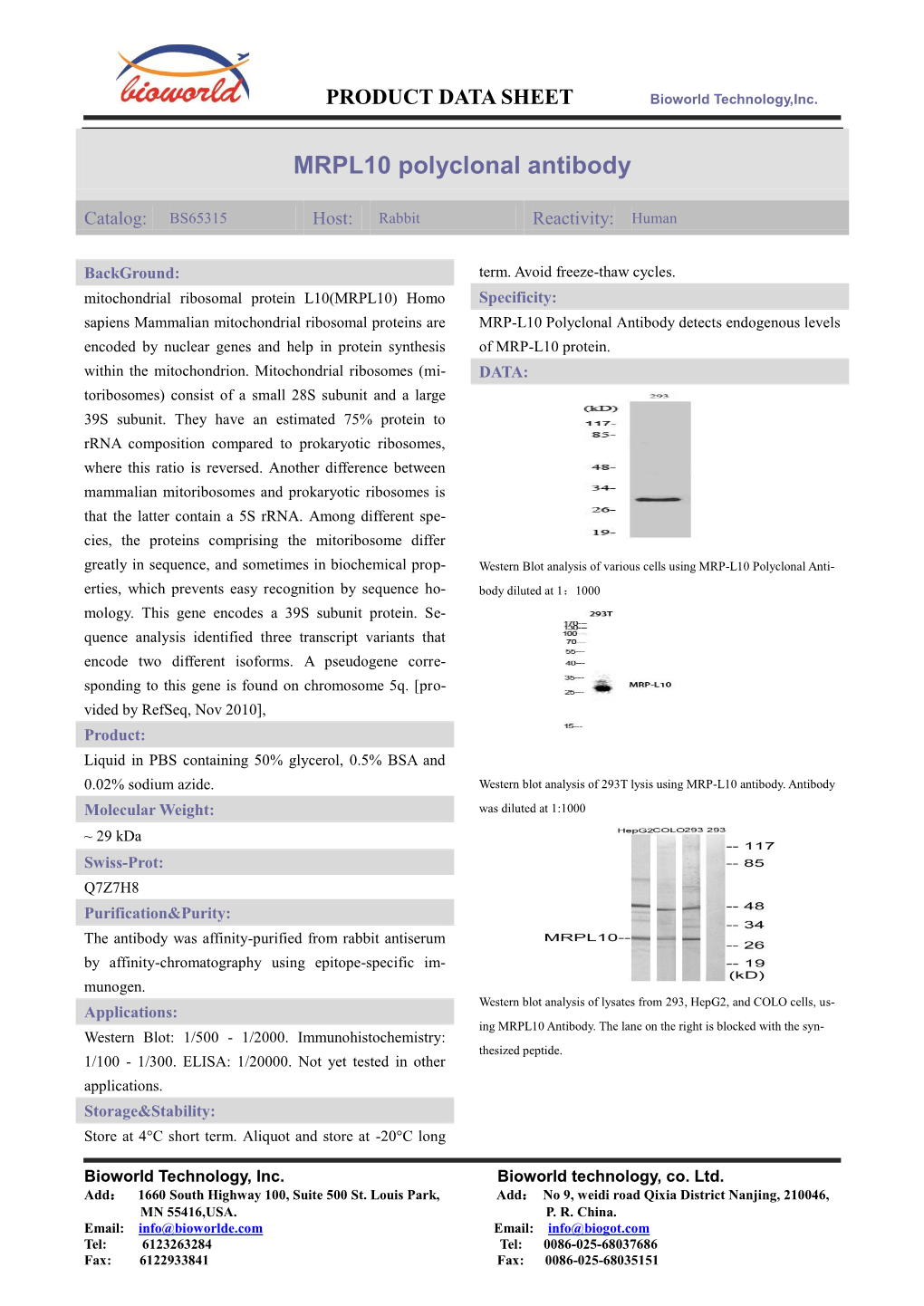 MRPL10 Polyclonal Antibody