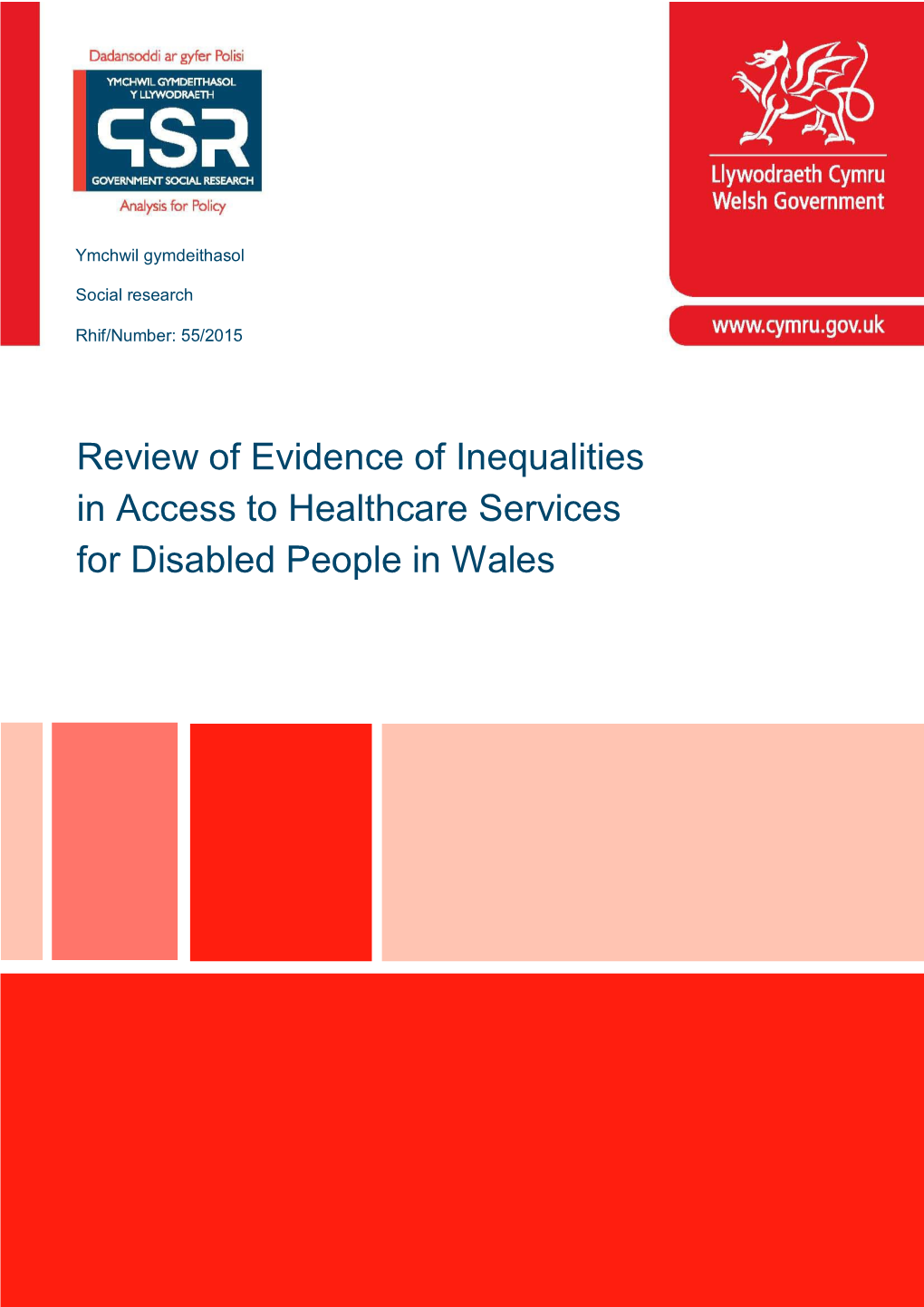 Review of Evidence of Inequalities in Access to Healthcare Services for Disabled People in Wales