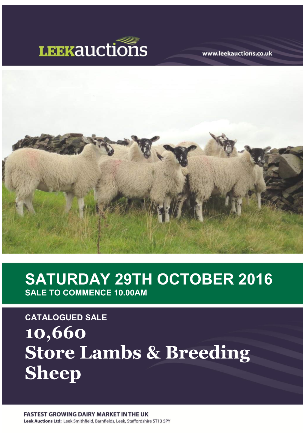 Store Lambs & Breeding Sheep