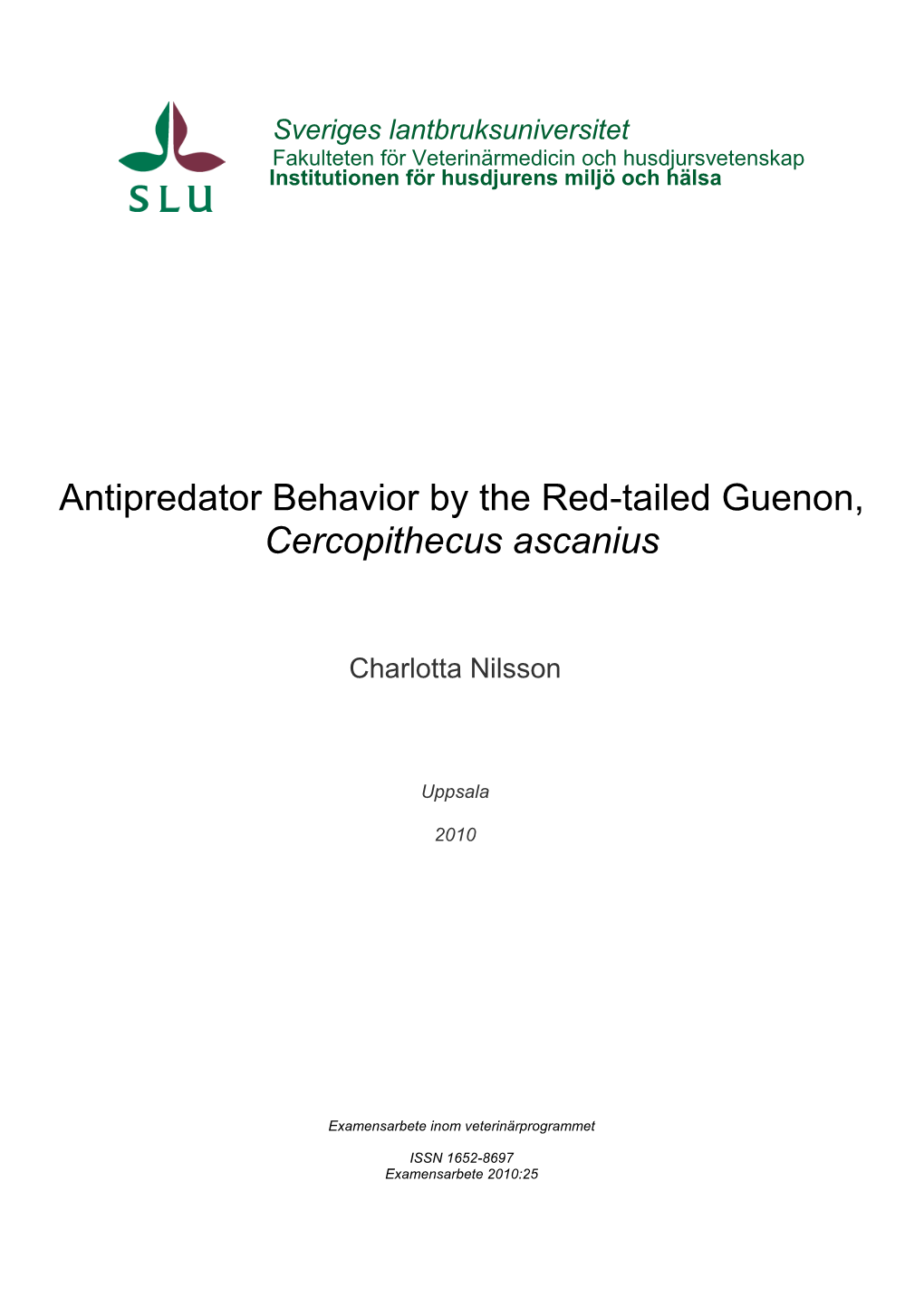 Antipredator Behavior by the Red-Tailed Guenon, Cercopithecus Ascanius