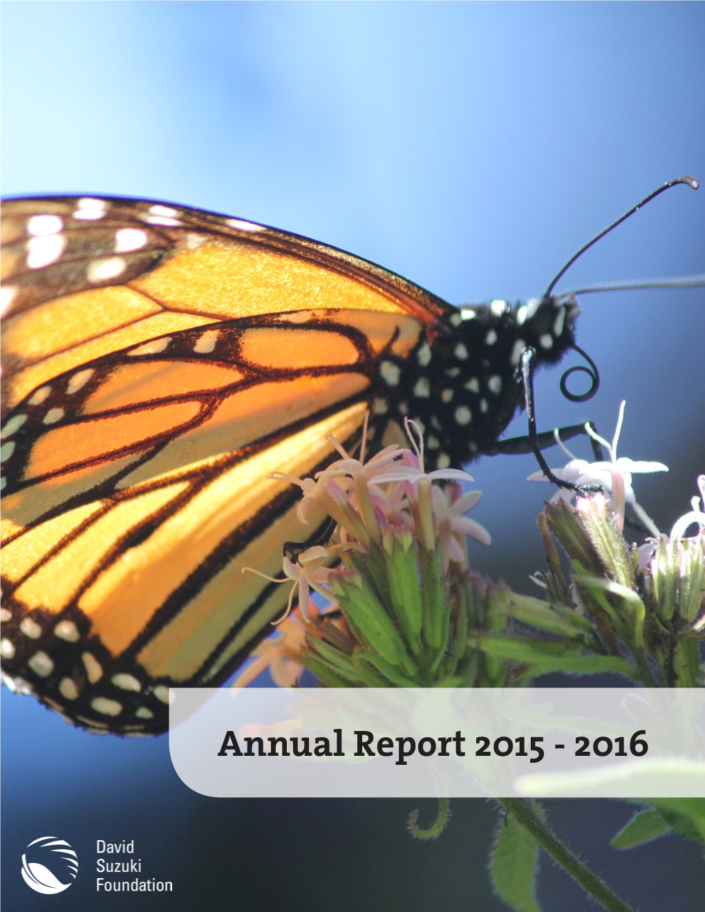 Annual Report 2015 - 2016