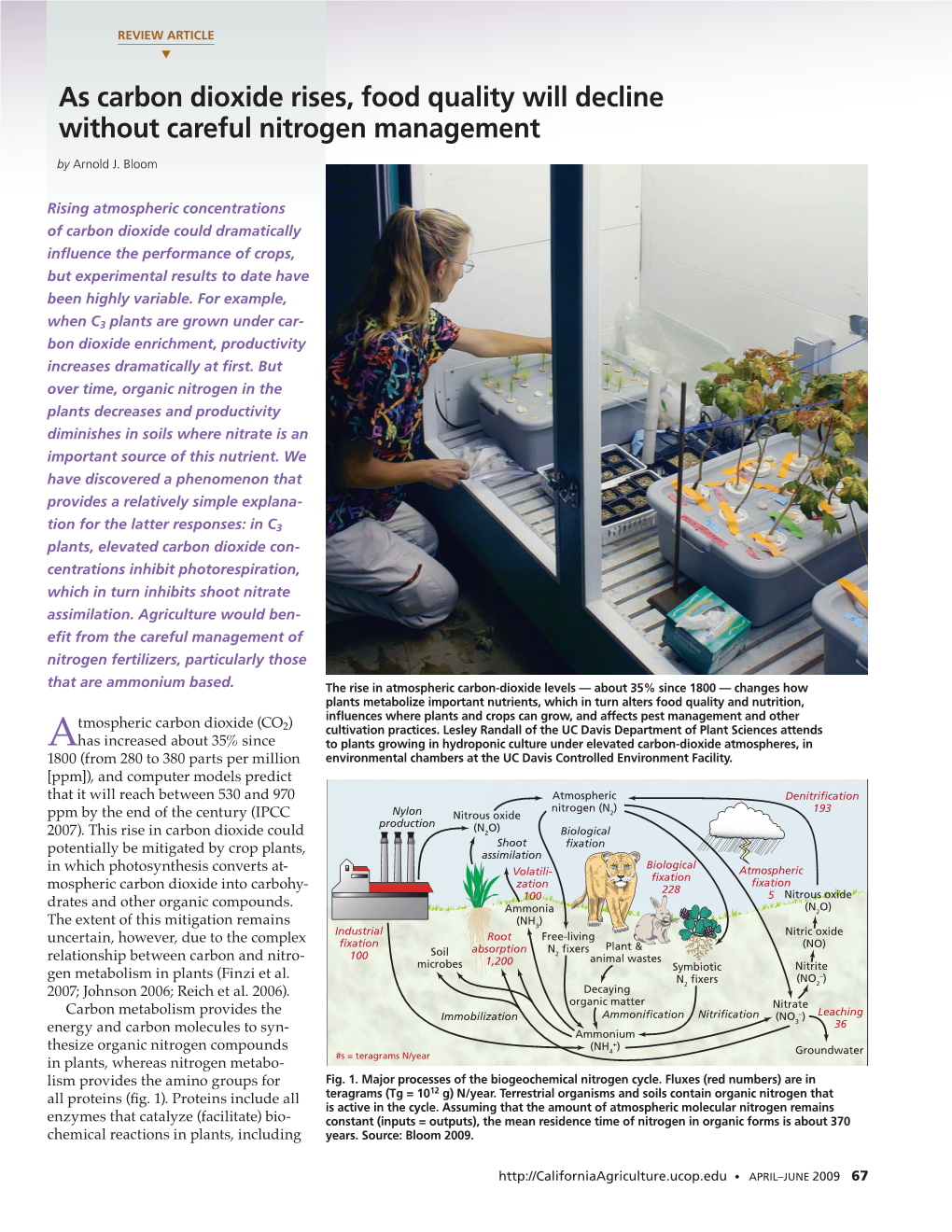 Photorespiration, Which in Turn Inhibits Shoot Nitrate Assimilation