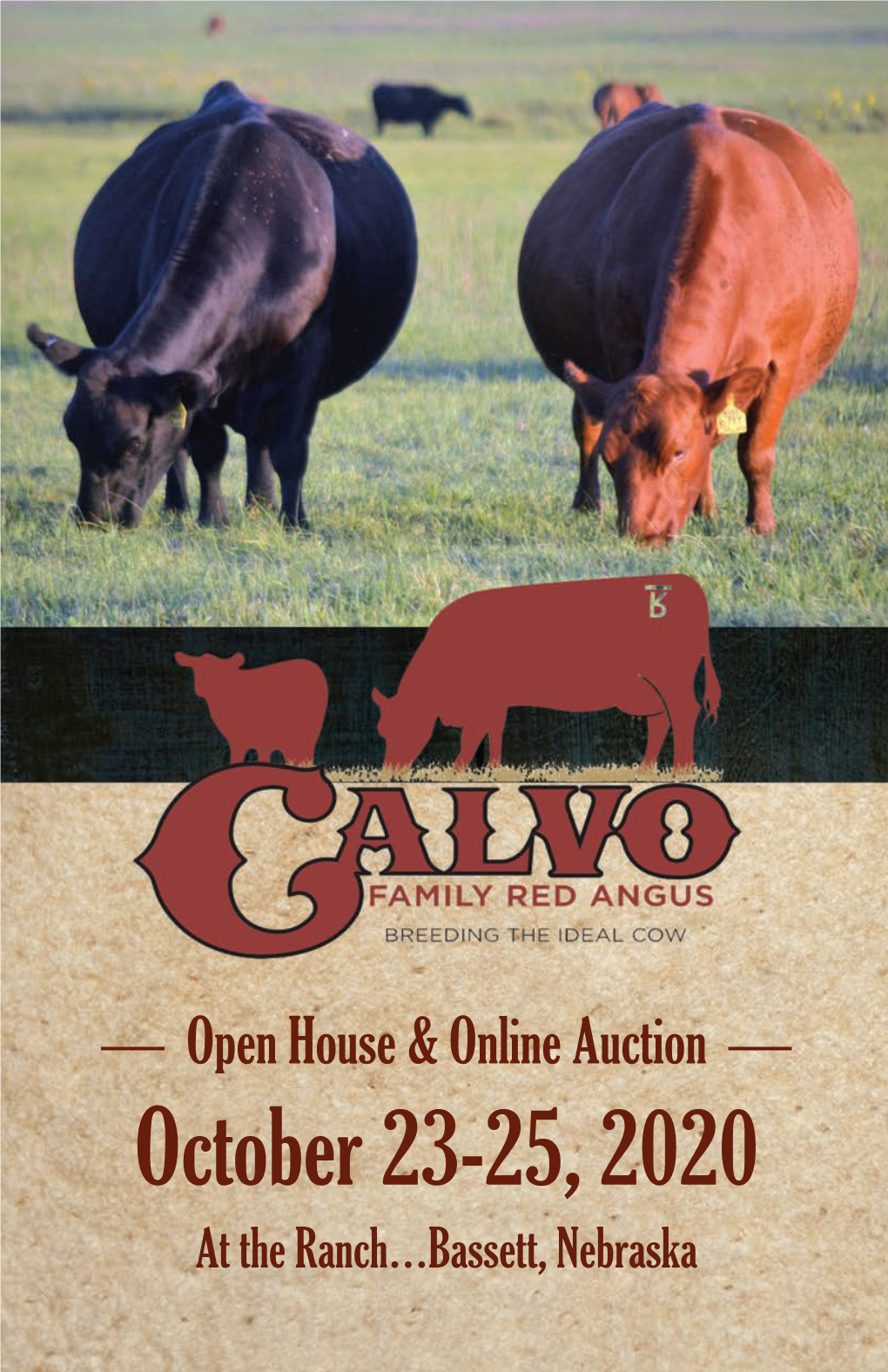 October 23-25, 2020 at the Ranch…Bassett, Nebraska Welcome Calvo Family Red Angus Would Like to Welcome You All to Our Open House Fall Bull Sale