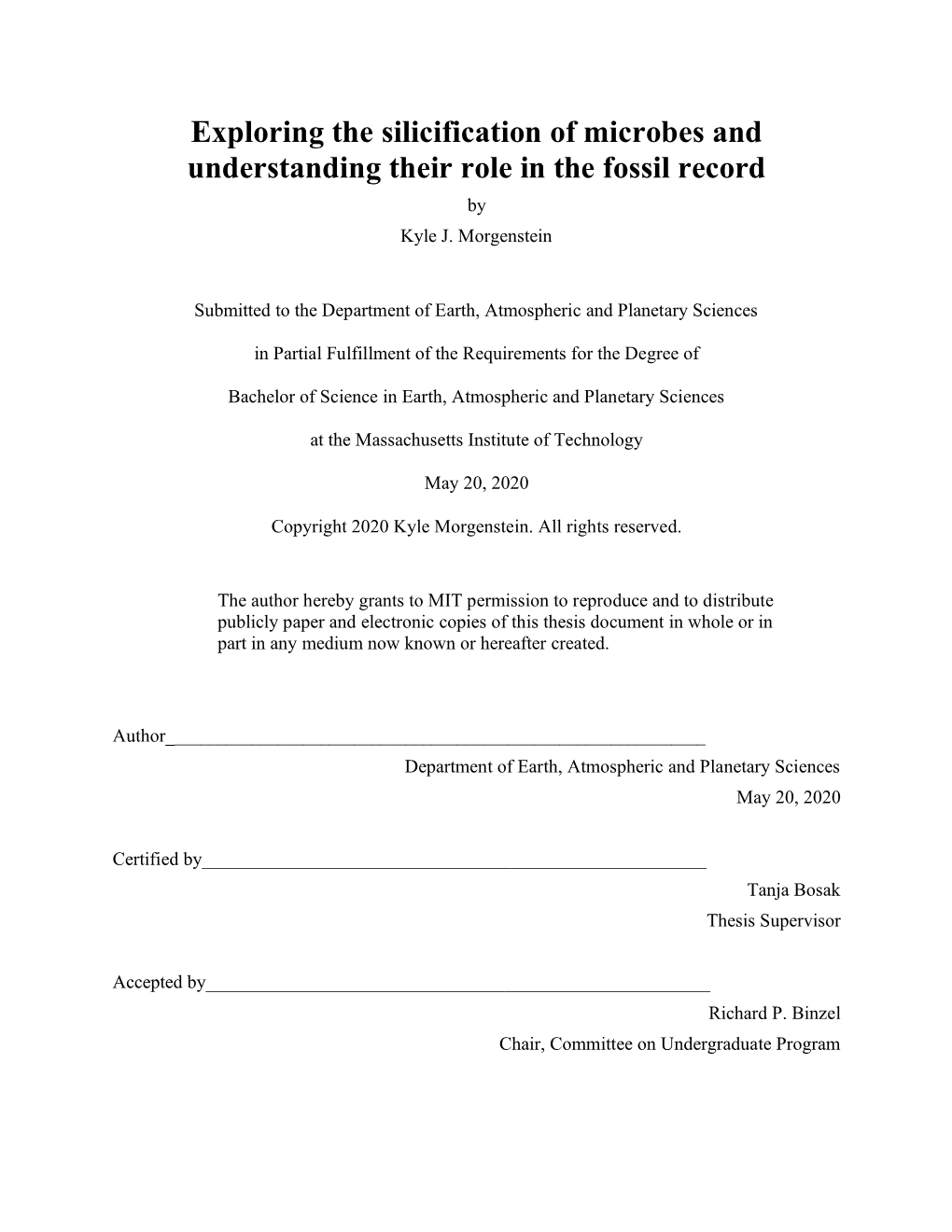 Exploring the Silicification of Microbes and Understanding Their Role in the Fossil Record by Kyle J