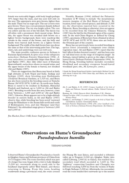 Observations on Hume's Groundpecker Pseudopodoces