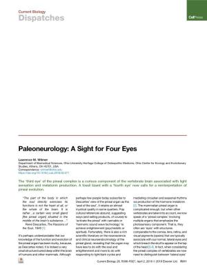 Paleoneurology: a Sight for Four Eyes