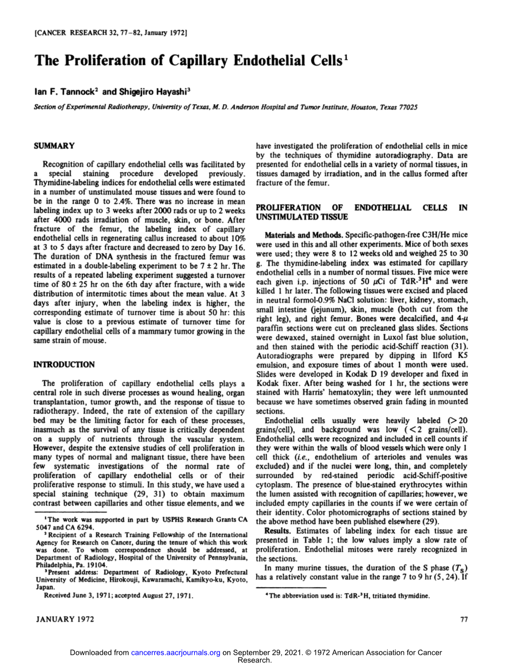 The Proliferation of Capillary Endothelial Cells'