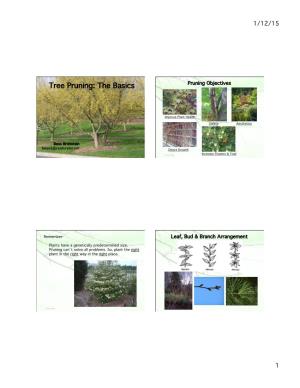 Tree Pruning: the Basics! Pruning Objectives!