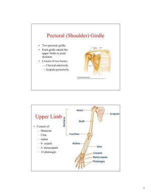 Pectoral (Shoulder) Girdle Upper Limb