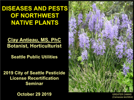Diseases and Pests of Northwest Native Plants