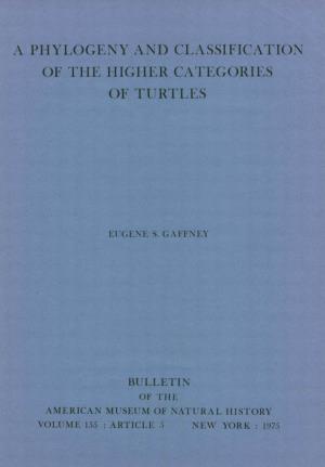 A Phylogeny and Classification of Turtles