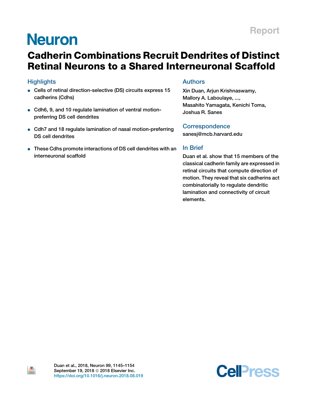 Cadherin Combinations Recruit Dendrites of Distinct Retinal Neurons to a Shared Interneuronal Scaffold