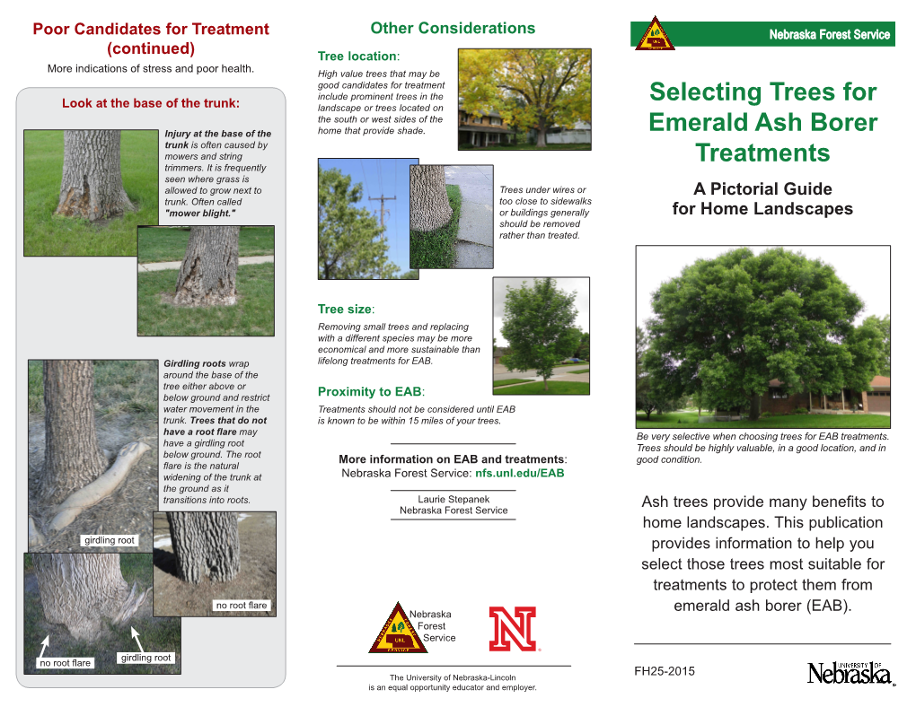 Selecting Trees for Emerald Ash Borer Treatments