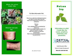 Poison -Ivy-Oak-Or-Sumac-Topic-Overview Article.Htm