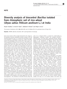 Diversity Analysis of Biocontrol Bacillus Isolated from Rhizospheric Soil of Rice–Wheat (Oryza Sativa–Triticum Aestivum L.)Atindia