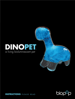 Dino Pet Care Manual