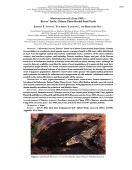 Mauremys Reevesii (Gray 1831) – Reeves’ Turtle, Chinese Three-Keeled Pond Turtle
