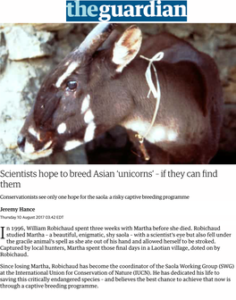 Scientists Hope to Breed Asian 'Unicorns' – If They Can Find Them