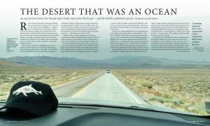 The Desert That Was an Ocean an Ancient Bone Bed in the Nevada Desert Holds Clues to the West’S Past — and the Earth’S Evolutionary Puzzle FEATURE by Hillary Rosner