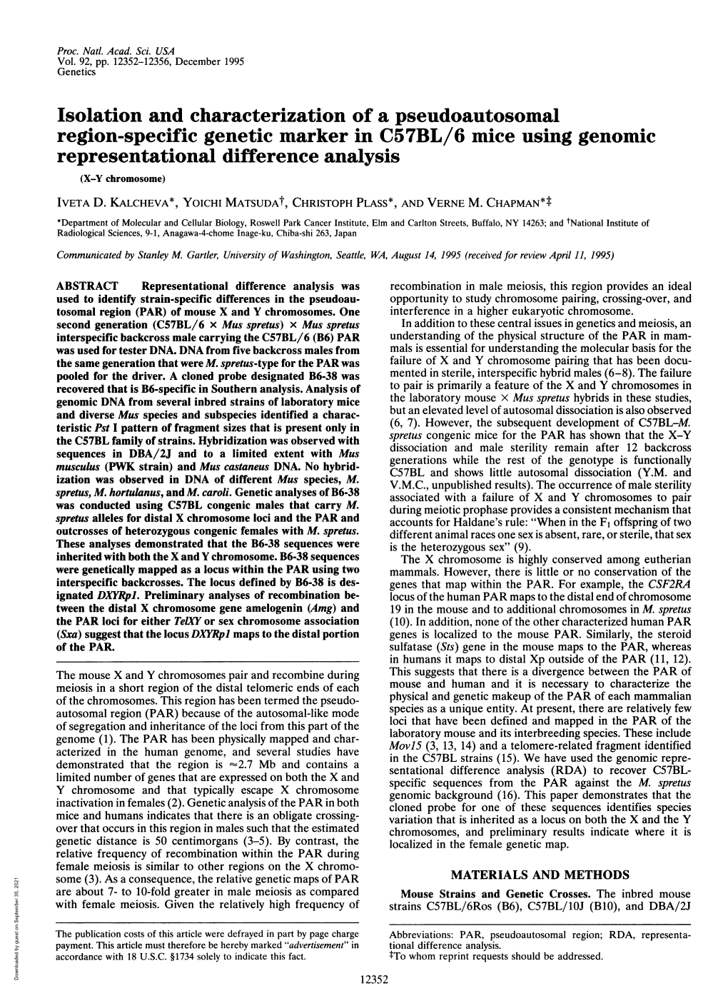 Region-Specific Genetic Marker in C57BL/6 Mice Using Genomic Representational Difference Analysis (X-Y Chromosome) IVETA D