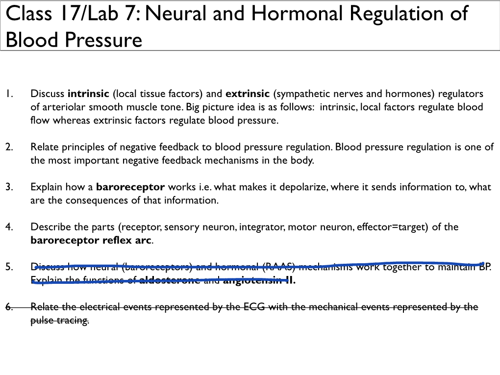 Neural and Hormonal Regulation of Blood Pressure