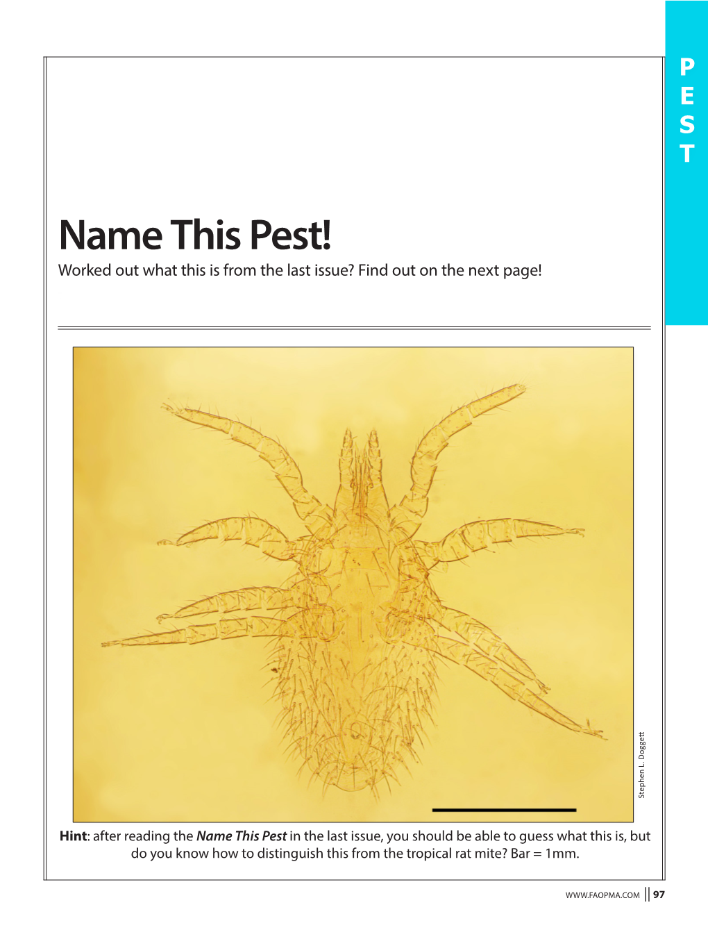 Name This Pest! Worked out What This Is from the Last Issue? Find out on the Next Page! T Stephen L