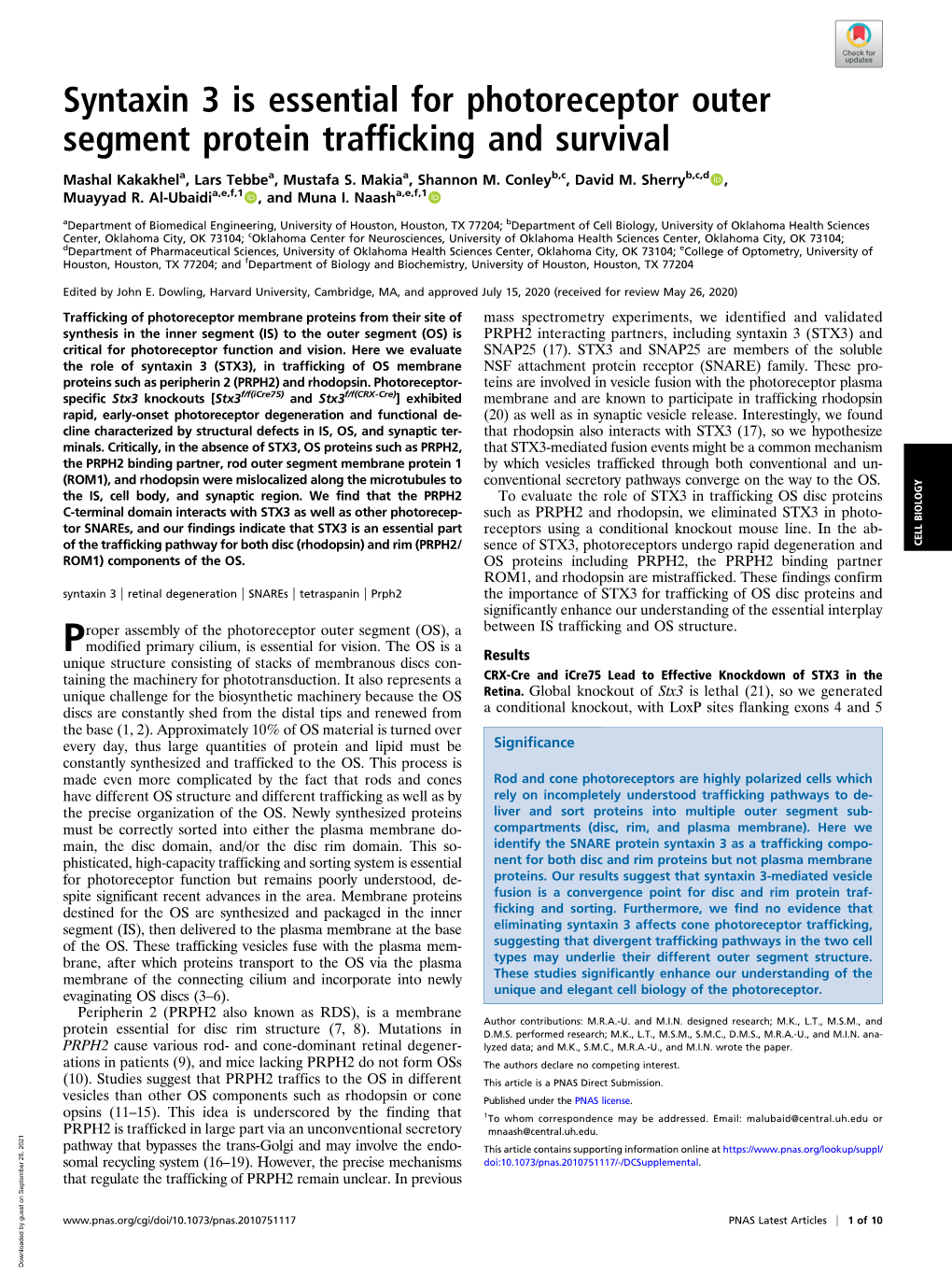 Syntaxin 3 Is Essential for Photoreceptor Outer Segment Protein Trafficking and Survival