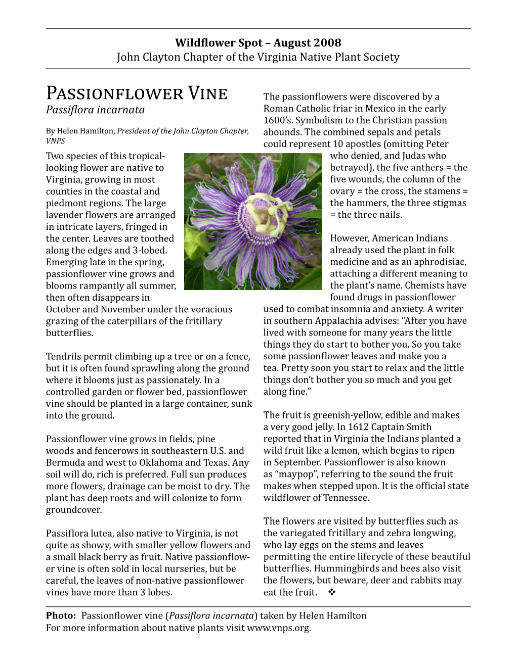 Passionflower Vine ( for More Information About Native Plants Visit