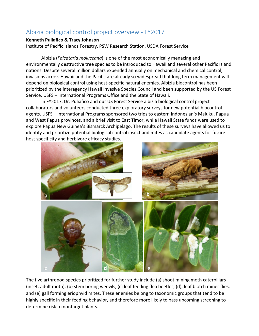 Albizia Biological Control Project Overview