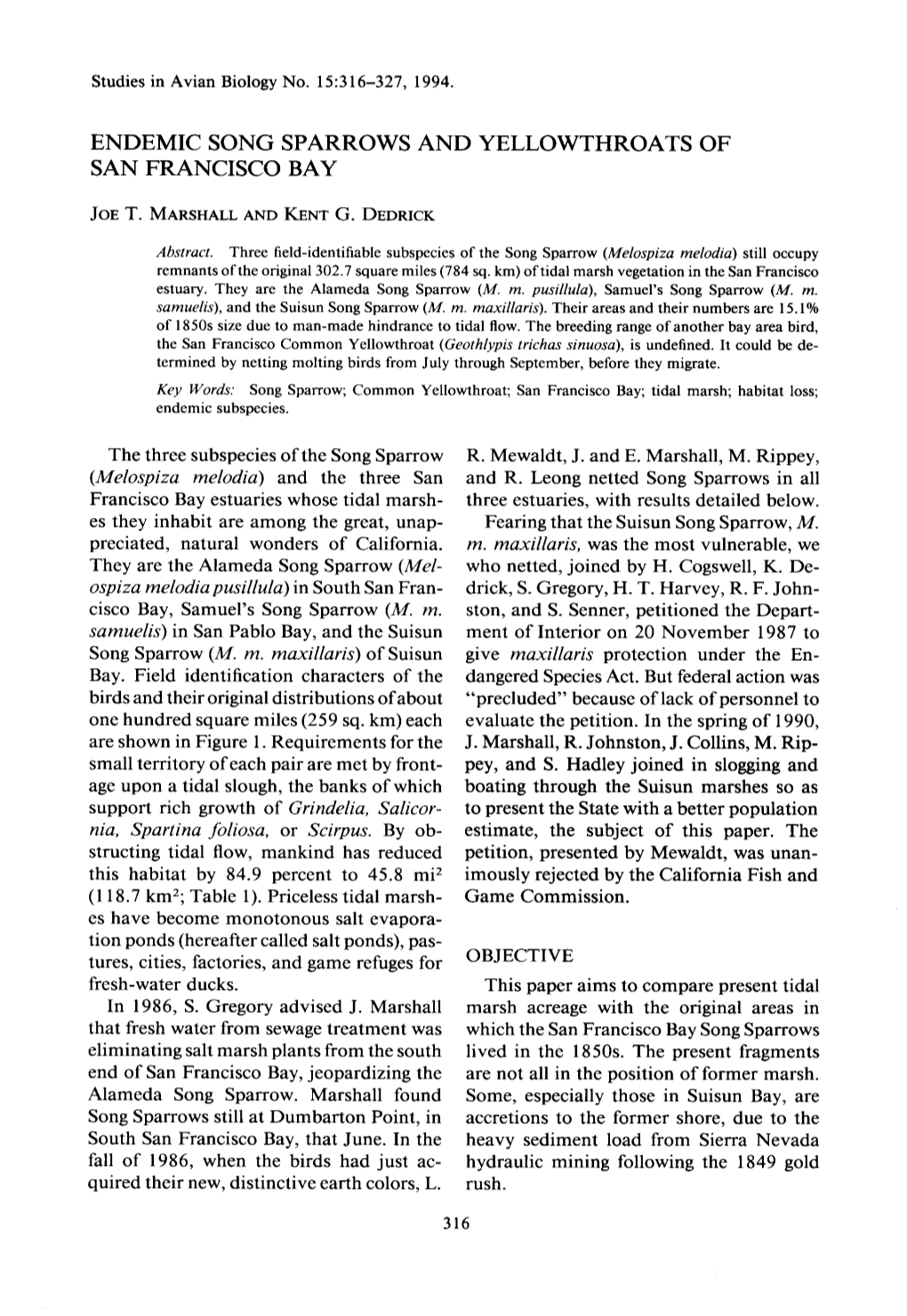 SAB 015 1994 P316-327 Endemic Song Sparrows and Yellowthroats of San Francisco Bay Joe T. Marshall, Kent G. Dedrick