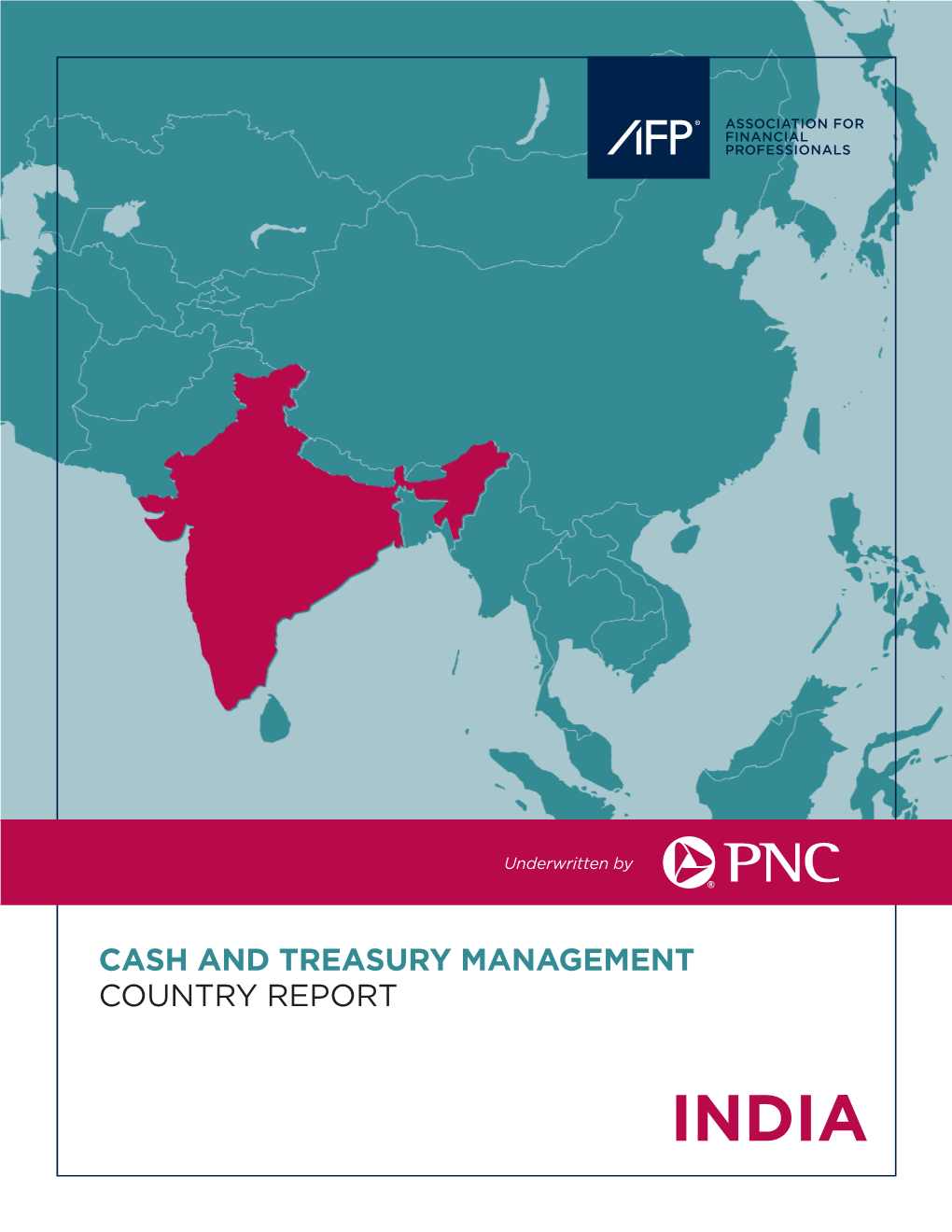 Cash and Treasury Management Country Report