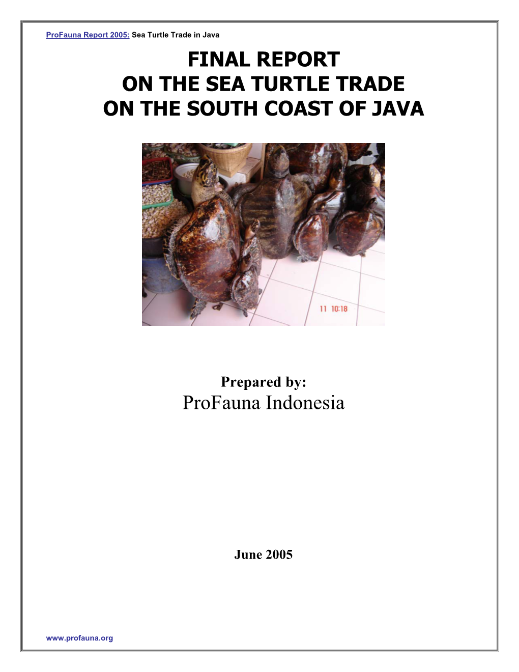 Sea Turtle Trade in Java FINAL REPORT on the SEA TURTLE TRADE on the SOUTH COAST of JAVA