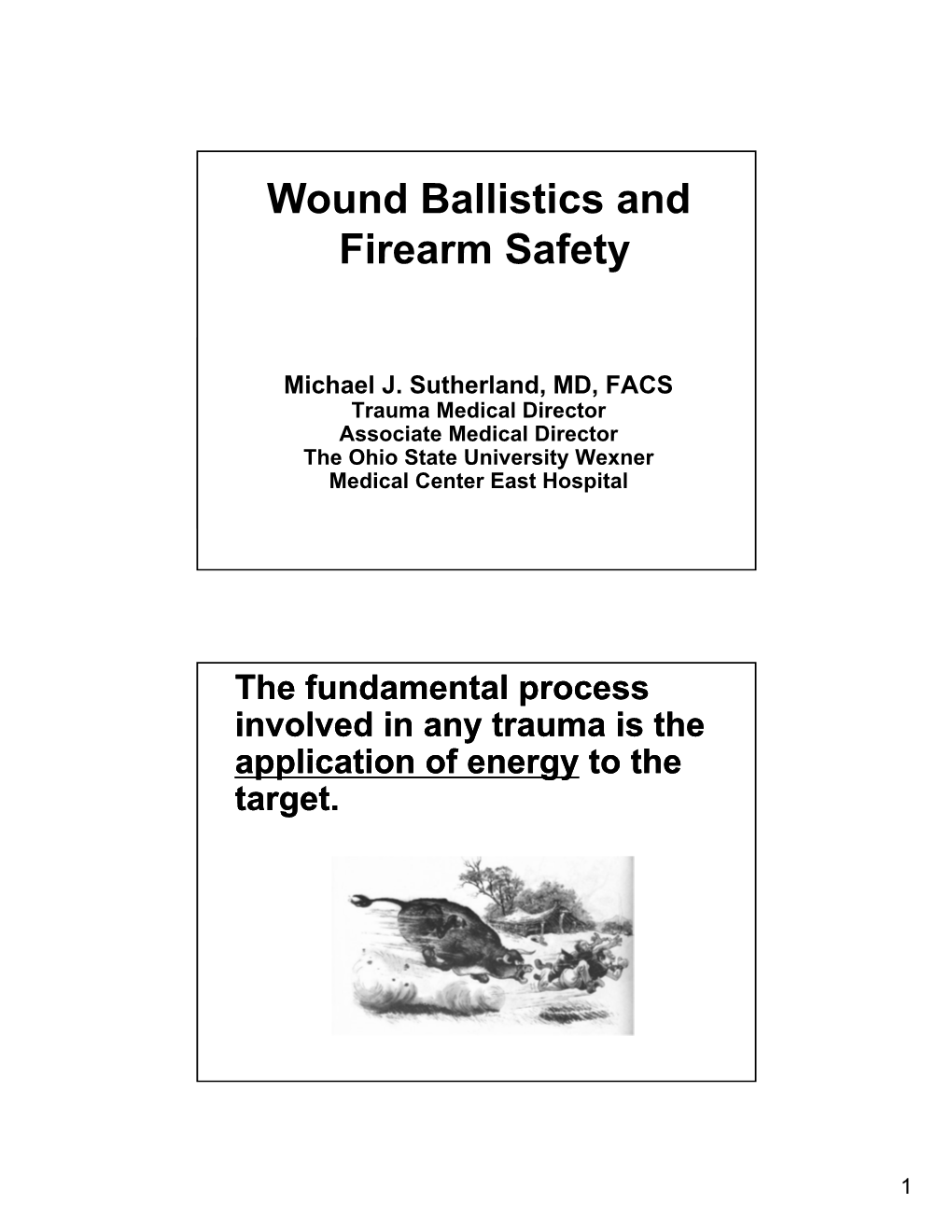 Wound Ballistics and Firearm Safety