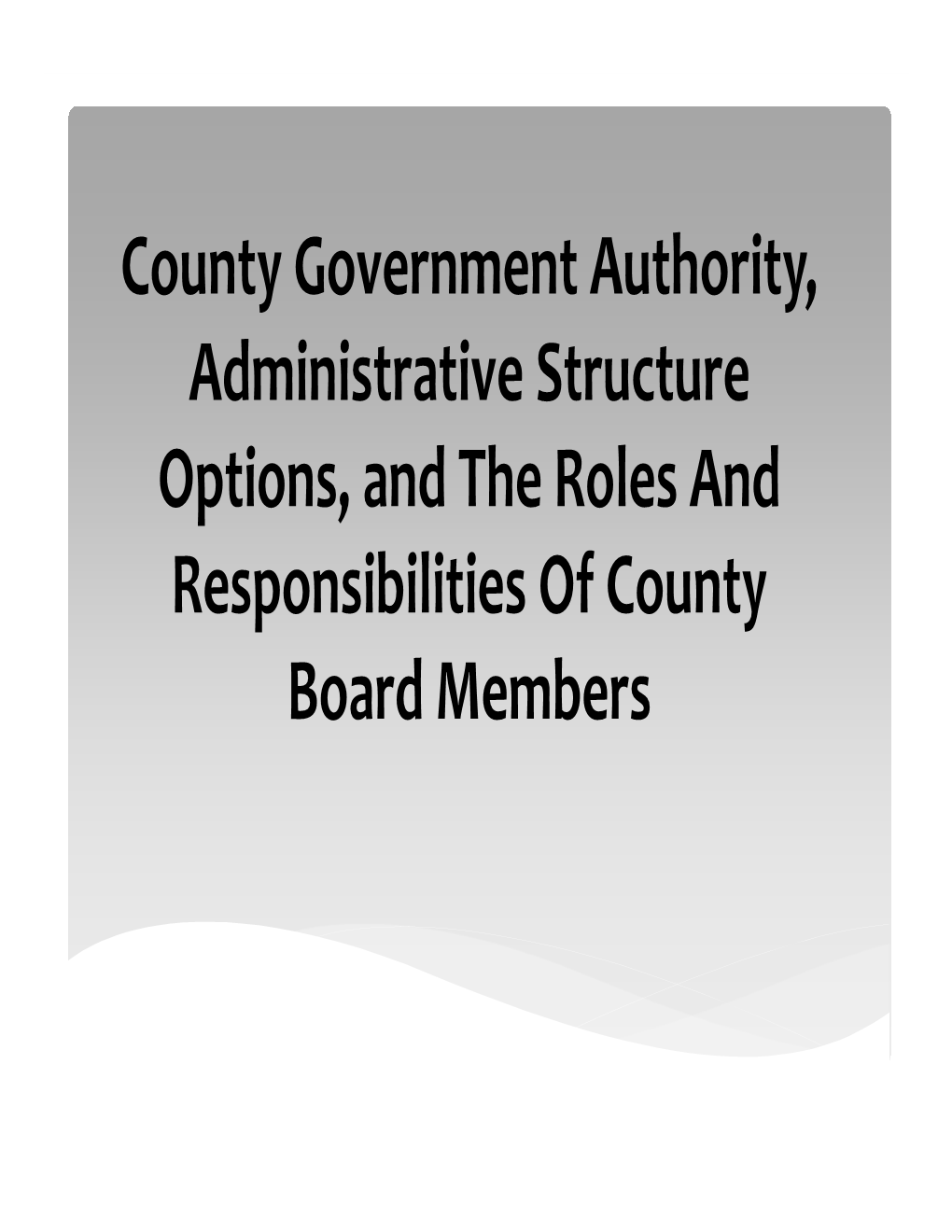 Authority Structure and Roles and Responsibilities