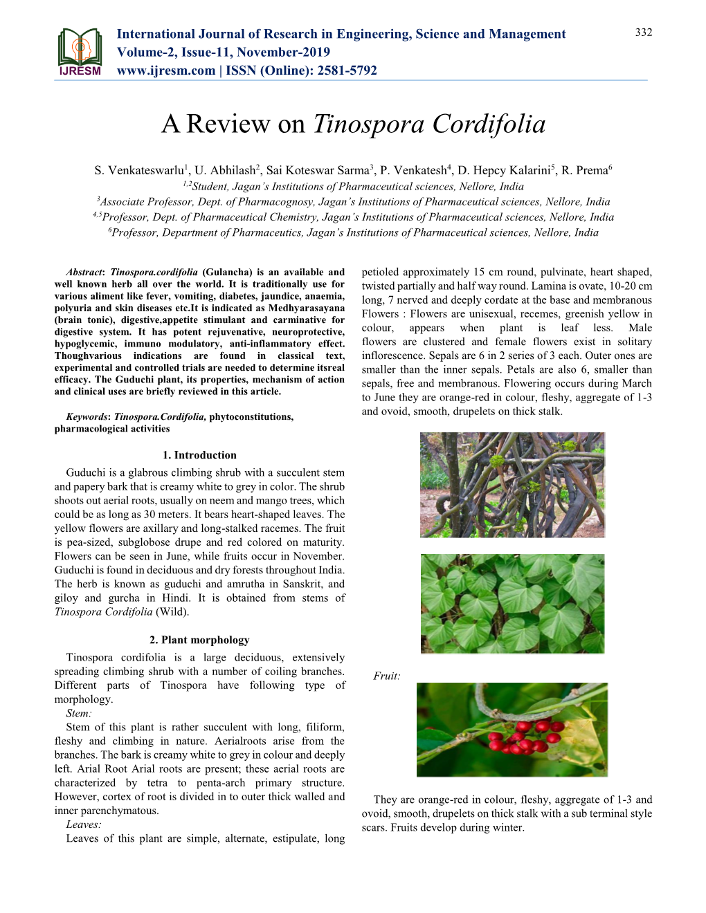 Tinospora Cordifolia