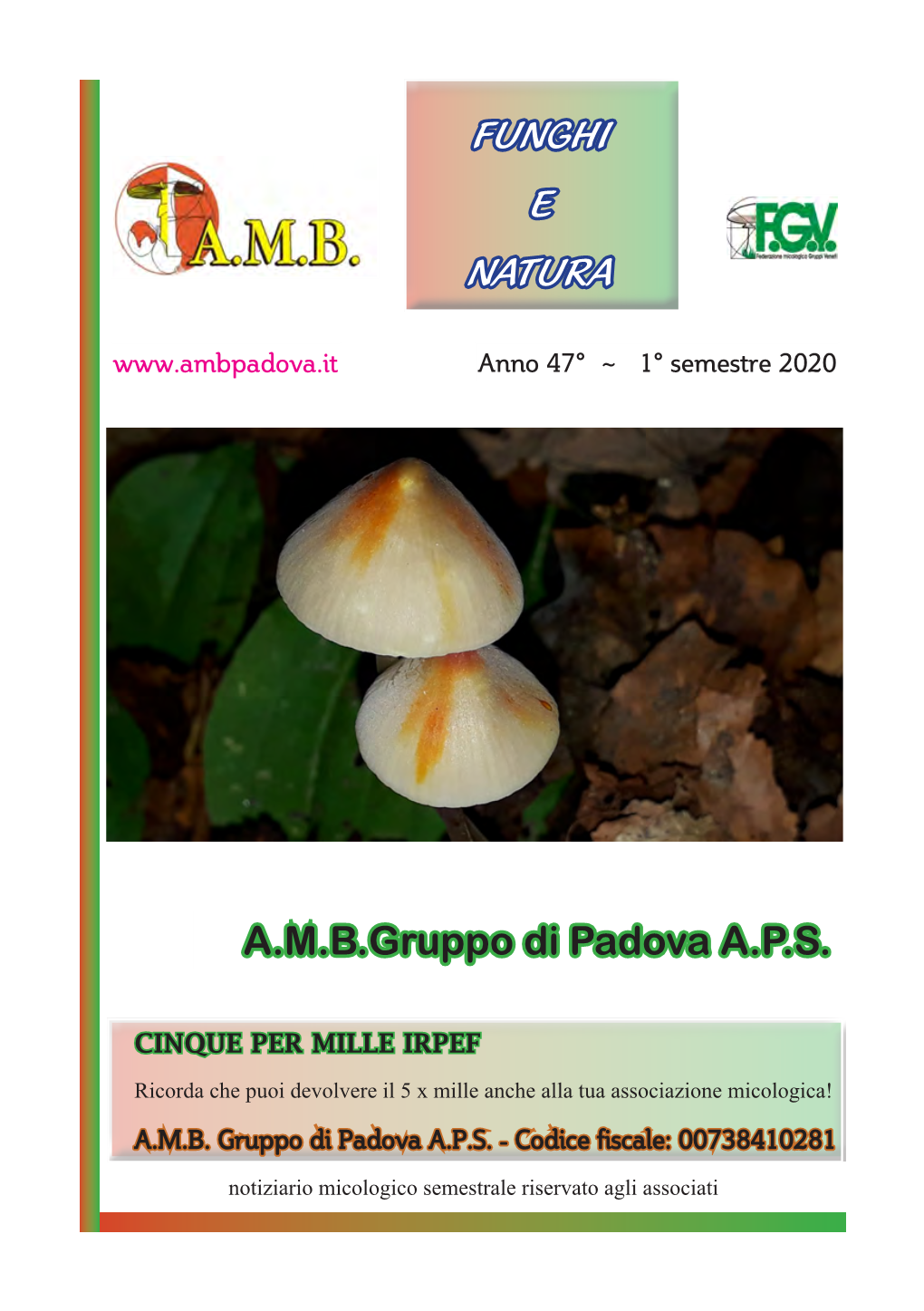 Funghi E Natura A.M.B.Gruppo Di Padova A.P.S
