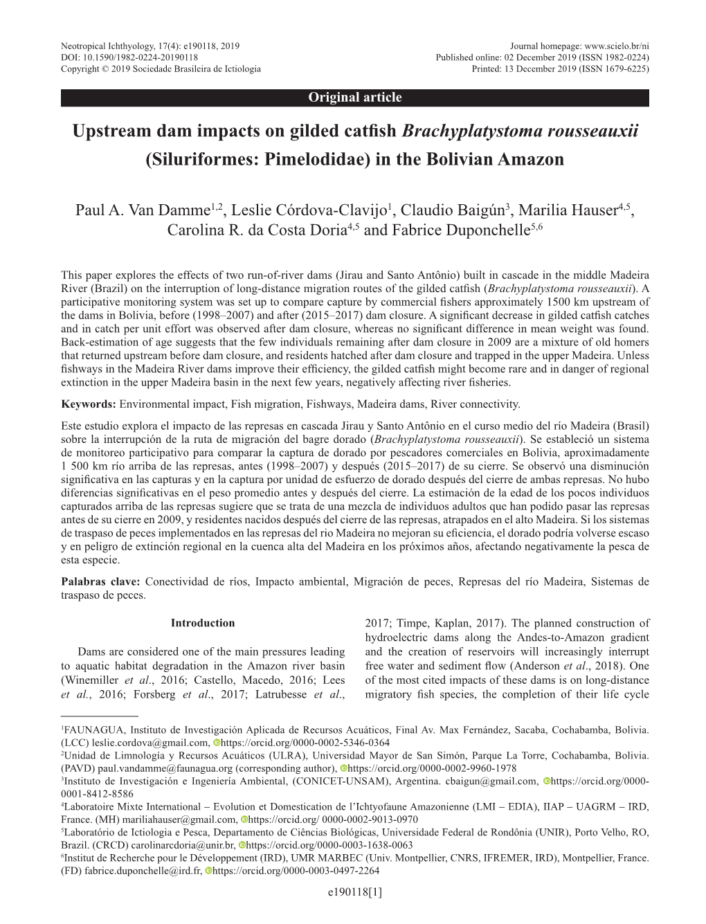 Upstream Dam Impacts on Gilded Catfish Brachyplatystoma Rousseauxii (Siluriformes: Pimelodidae) in the Bolivian Amazon