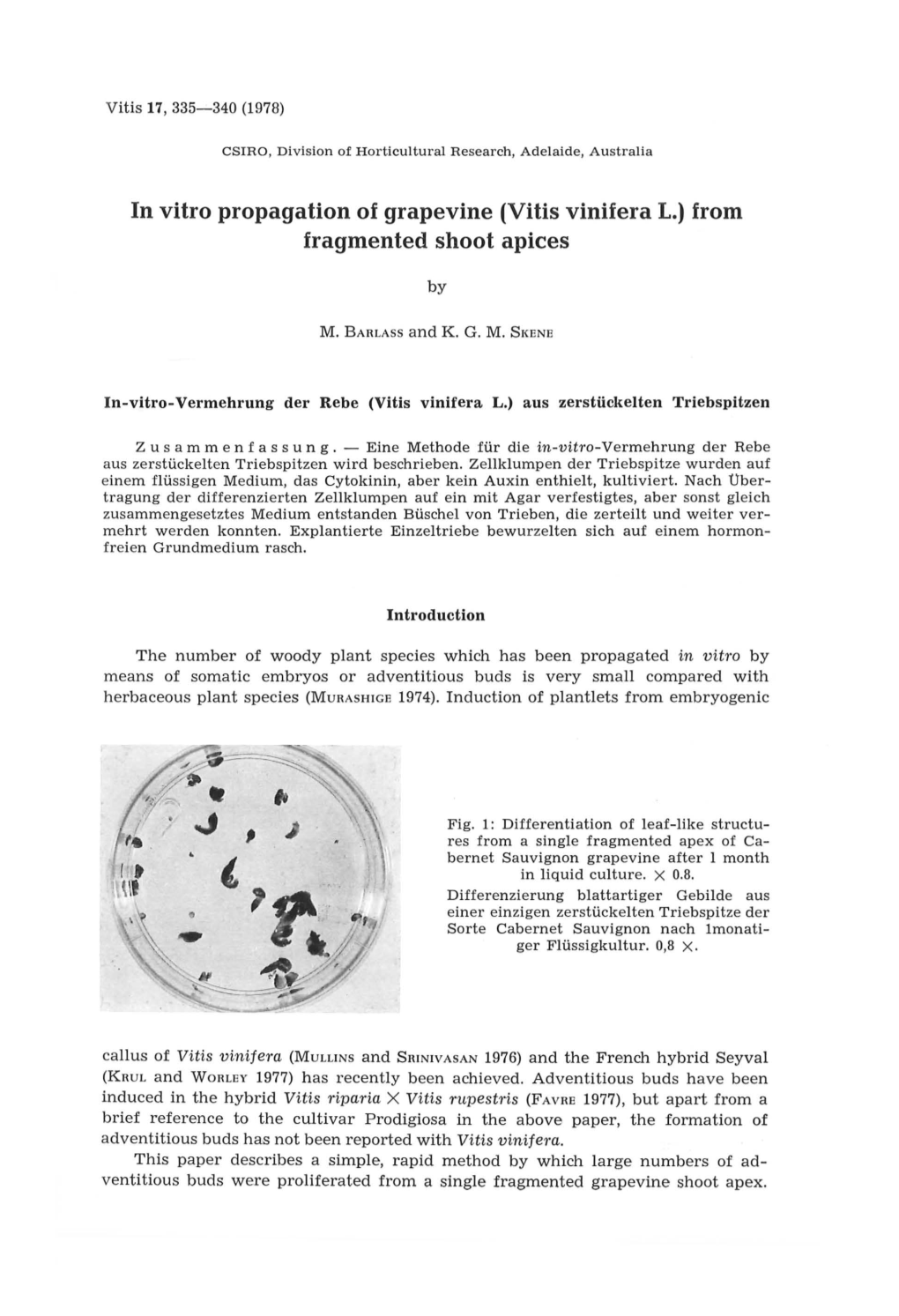 In Vitro Propagation of Grapevine (Vitis Vinifera L.) from Fragmented Shoot Apices