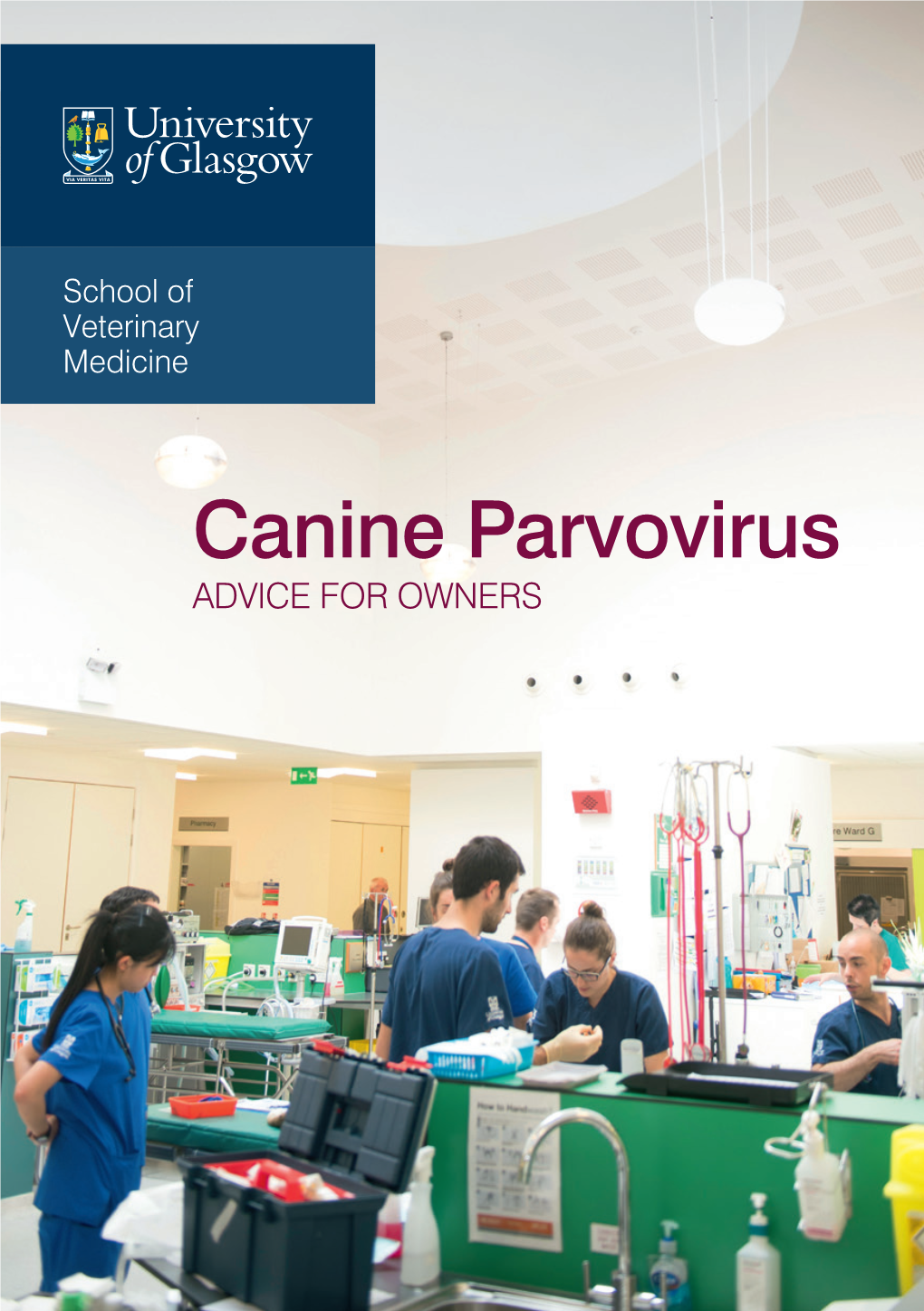 Canine Parvovirus ADVICE for OWNERS Canine Parvovirus
